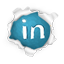Linked In icon