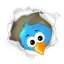 Twitter icon